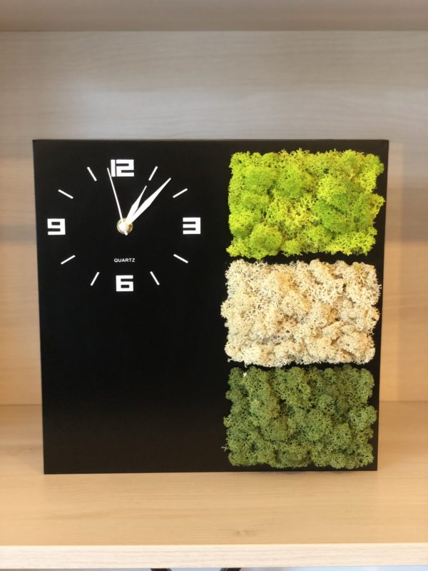 tablou ceas cu licheni